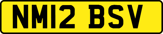 NM12BSV