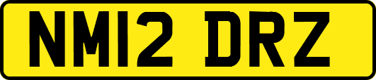 NM12DRZ