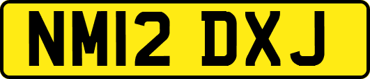 NM12DXJ