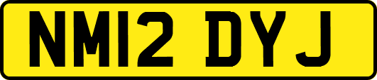 NM12DYJ