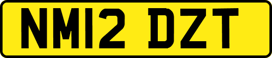 NM12DZT