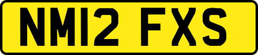 NM12FXS