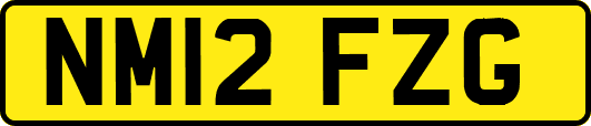 NM12FZG