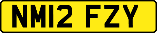NM12FZY