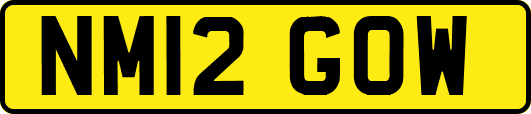 NM12GOW