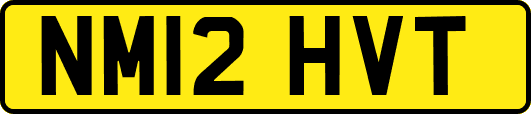 NM12HVT