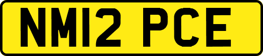 NM12PCE