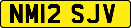 NM12SJV