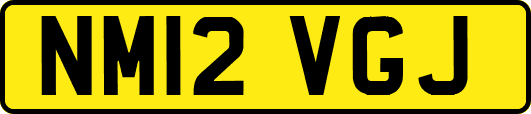 NM12VGJ