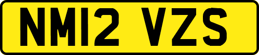NM12VZS