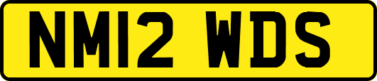 NM12WDS