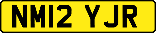 NM12YJR