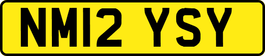 NM12YSY