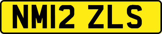 NM12ZLS