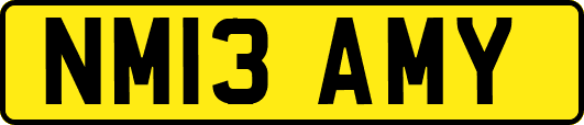 NM13AMY