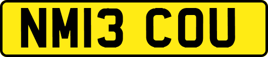 NM13COU
