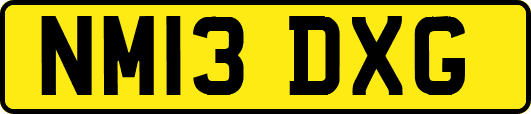 NM13DXG