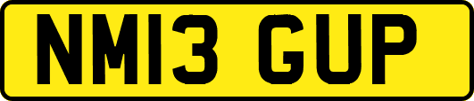 NM13GUP