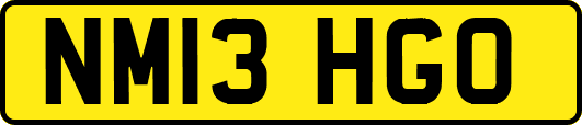 NM13HGO