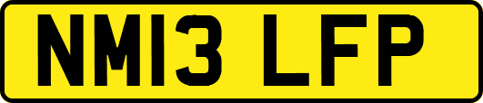 NM13LFP