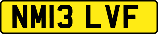 NM13LVF