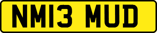 NM13MUD