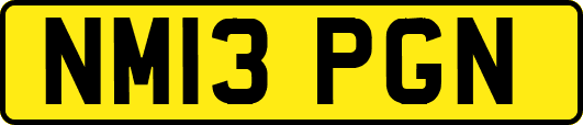NM13PGN