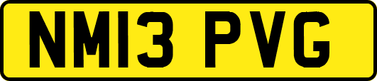 NM13PVG