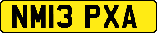 NM13PXA
