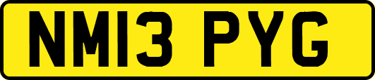 NM13PYG