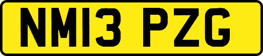 NM13PZG