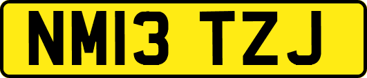 NM13TZJ