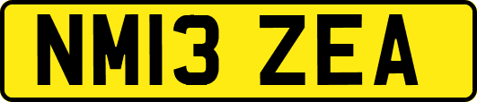 NM13ZEA