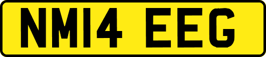 NM14EEG