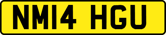 NM14HGU