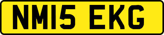 NM15EKG