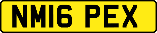 NM16PEX