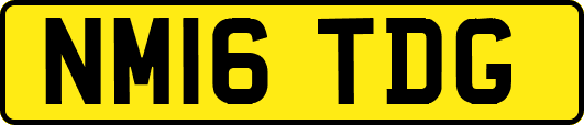 NM16TDG