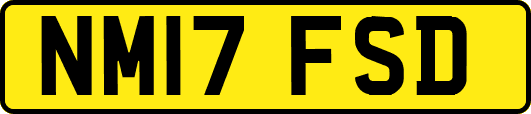 NM17FSD