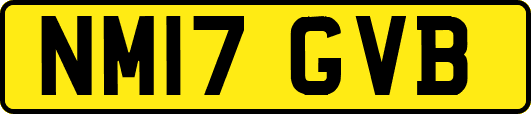 NM17GVB
