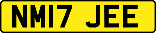 NM17JEE