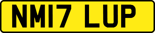 NM17LUP