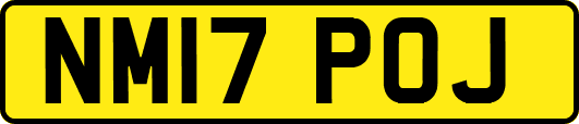 NM17POJ