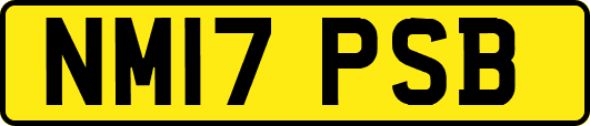 NM17PSB