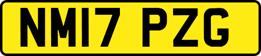 NM17PZG