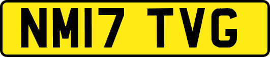 NM17TVG