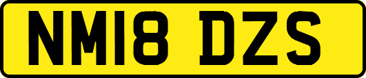 NM18DZS