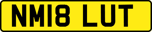 NM18LUT
