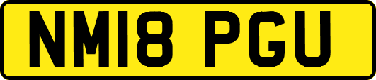 NM18PGU
