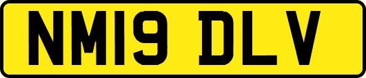 NM19DLV